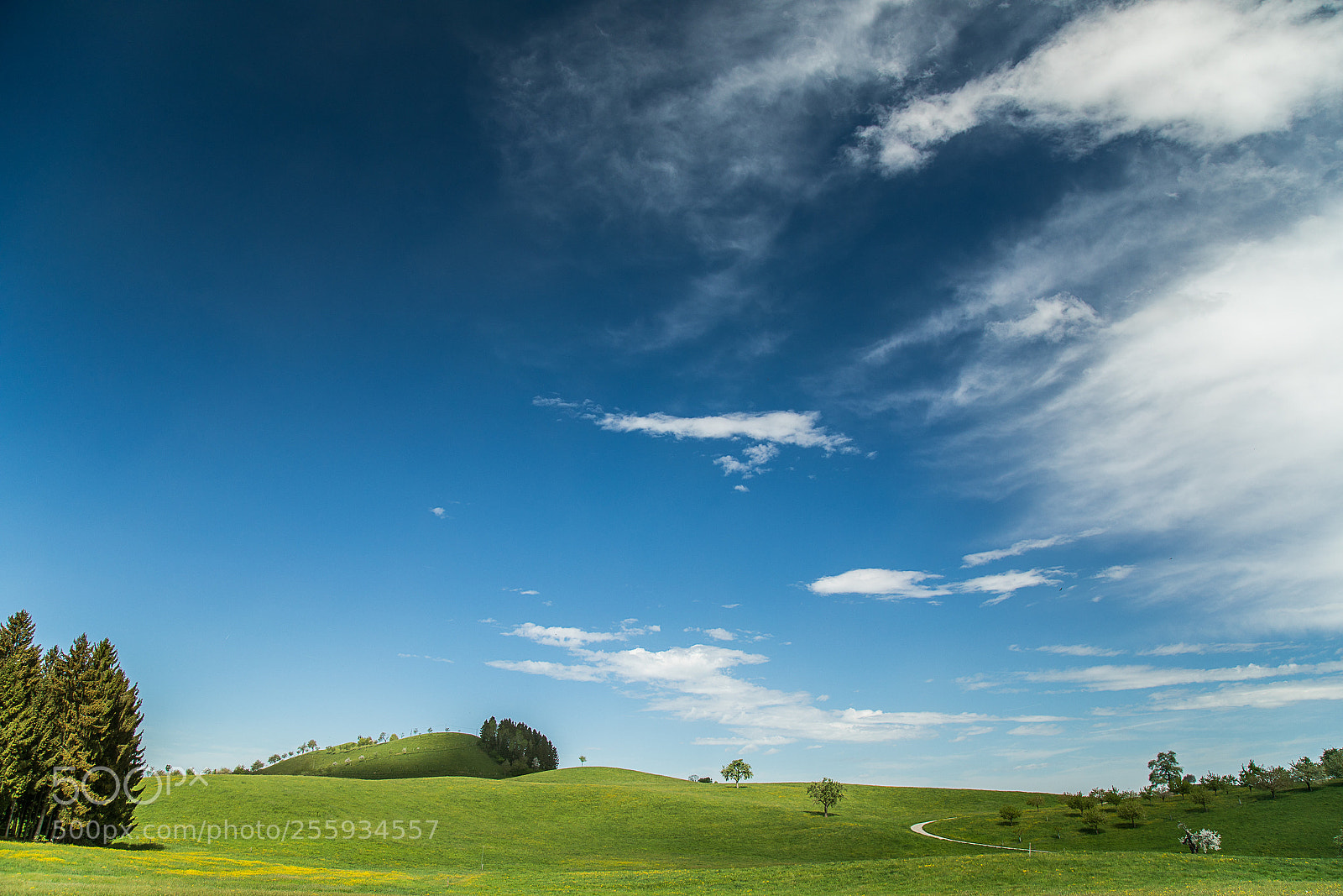 Canon EOS 5D Mark IV sample photo. Hiking in a dream photography