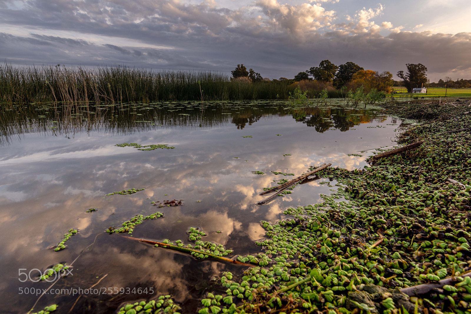 Nikon D7200 sample photo. Laguna de los padres photography