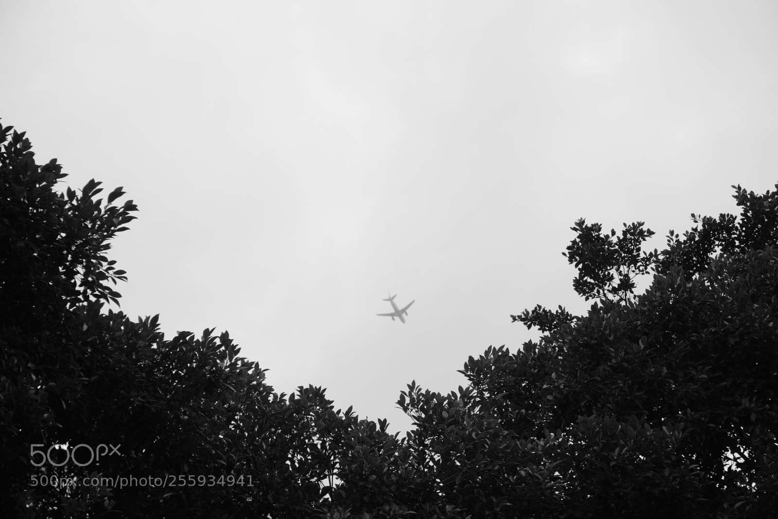 Sony a6000 sample photo. Black photography