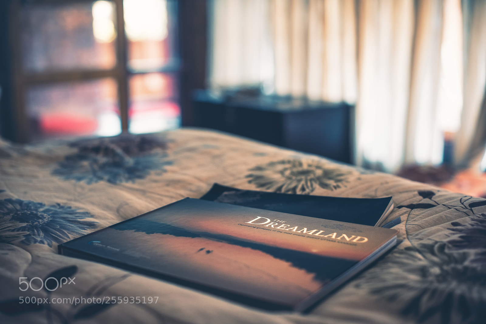 Nikon D750 sample photo. Dreamland... photography