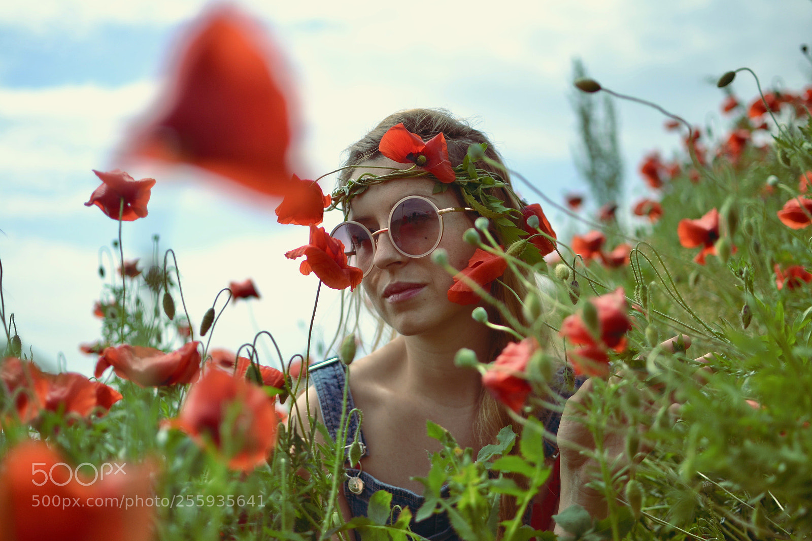 Nikon D3100 sample photo. In spring red photography