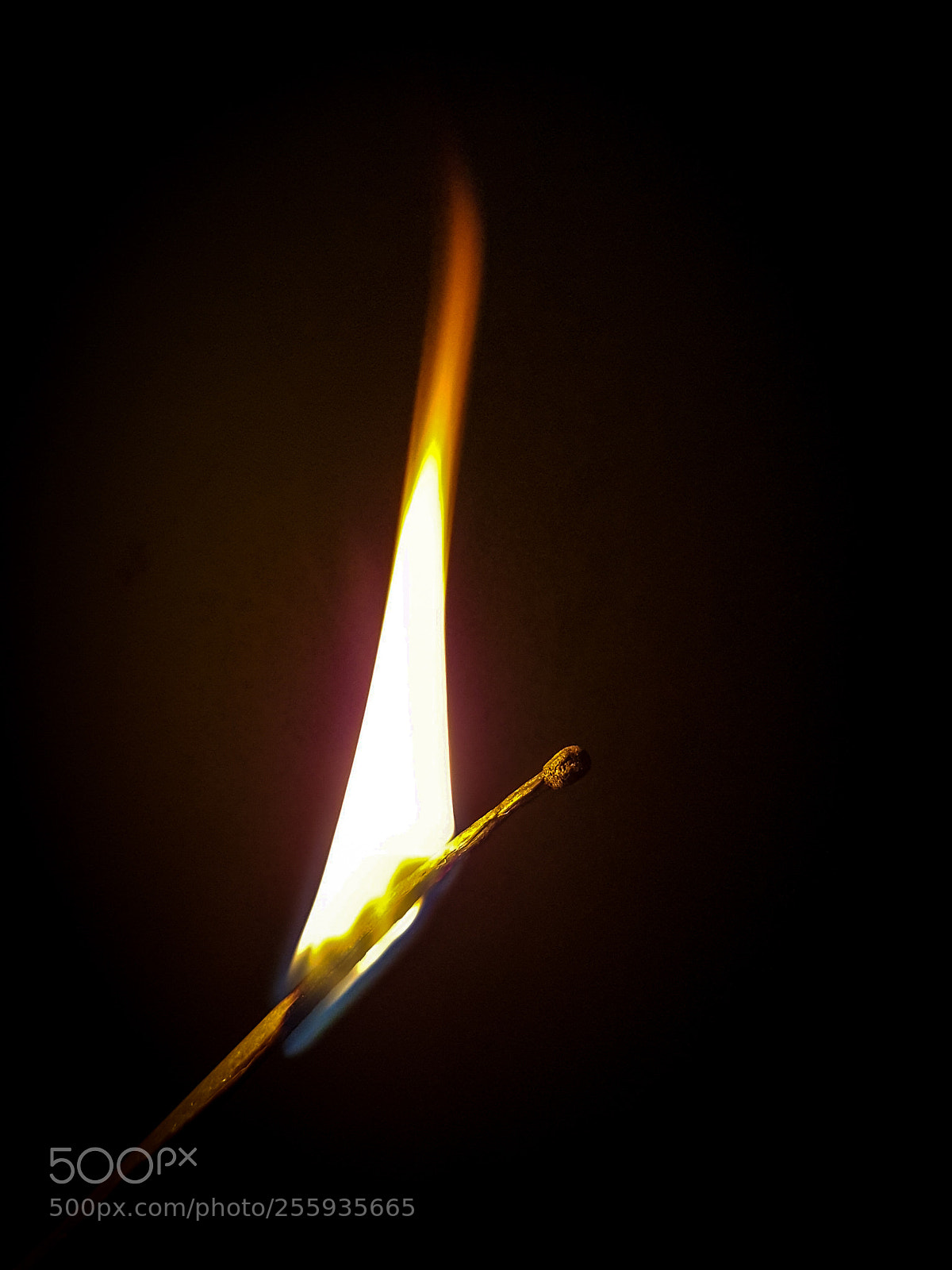 Samsung Galaxy S7 sample photo. Untitled photography