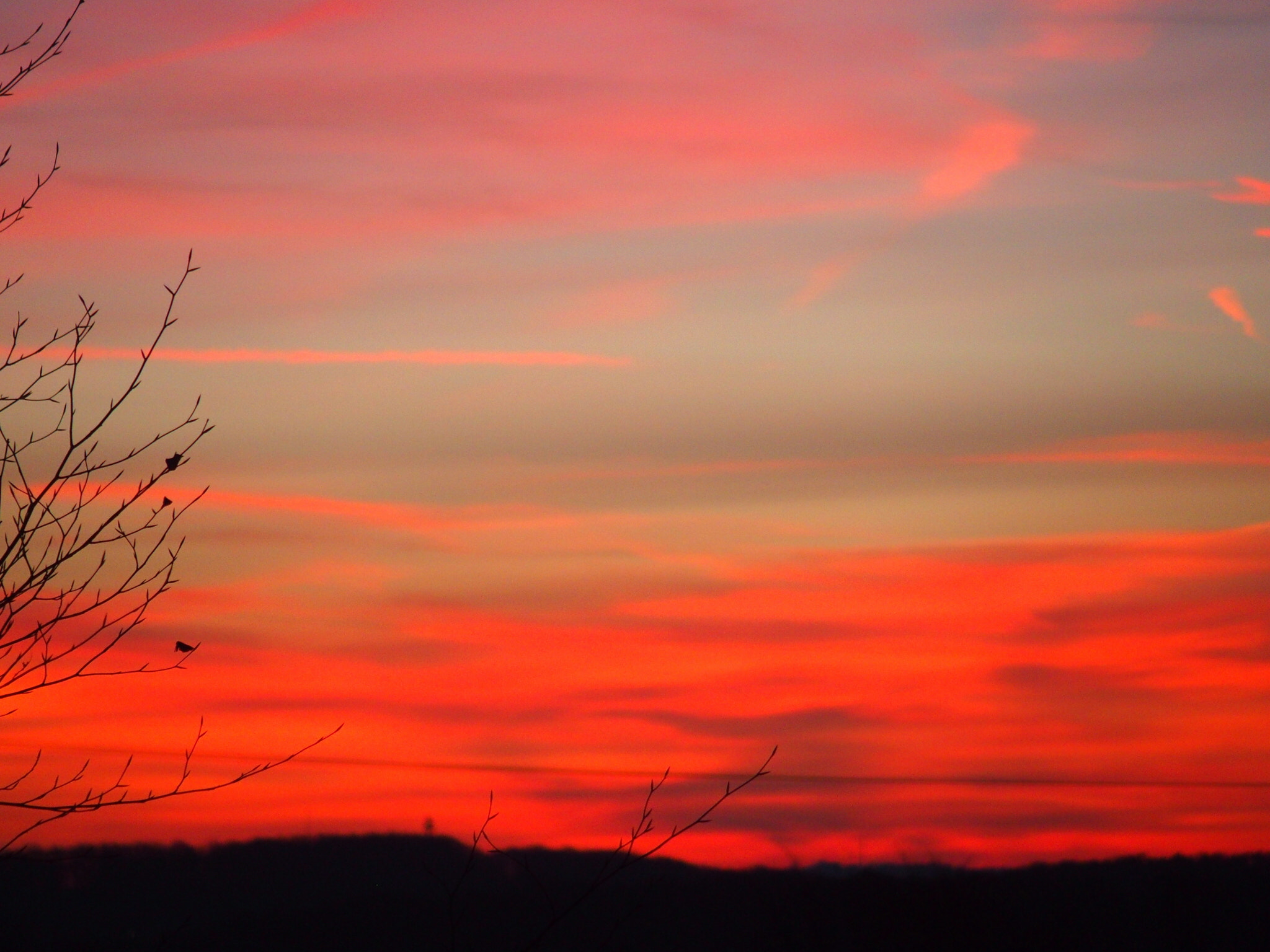 Olympus STYLUS1,1s sample photo. Sunrise photography