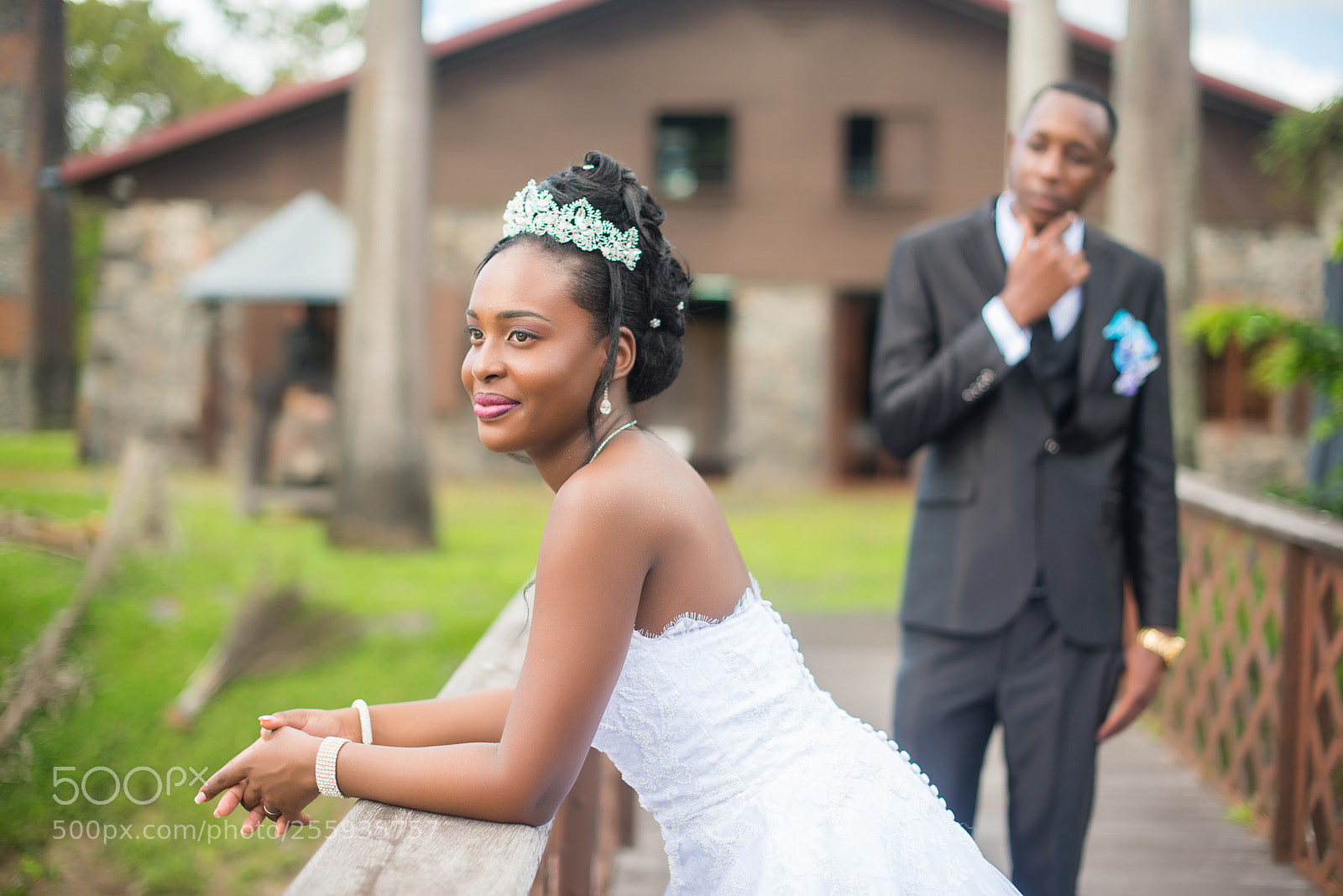 Nikon D750 sample photo. Untitled photography