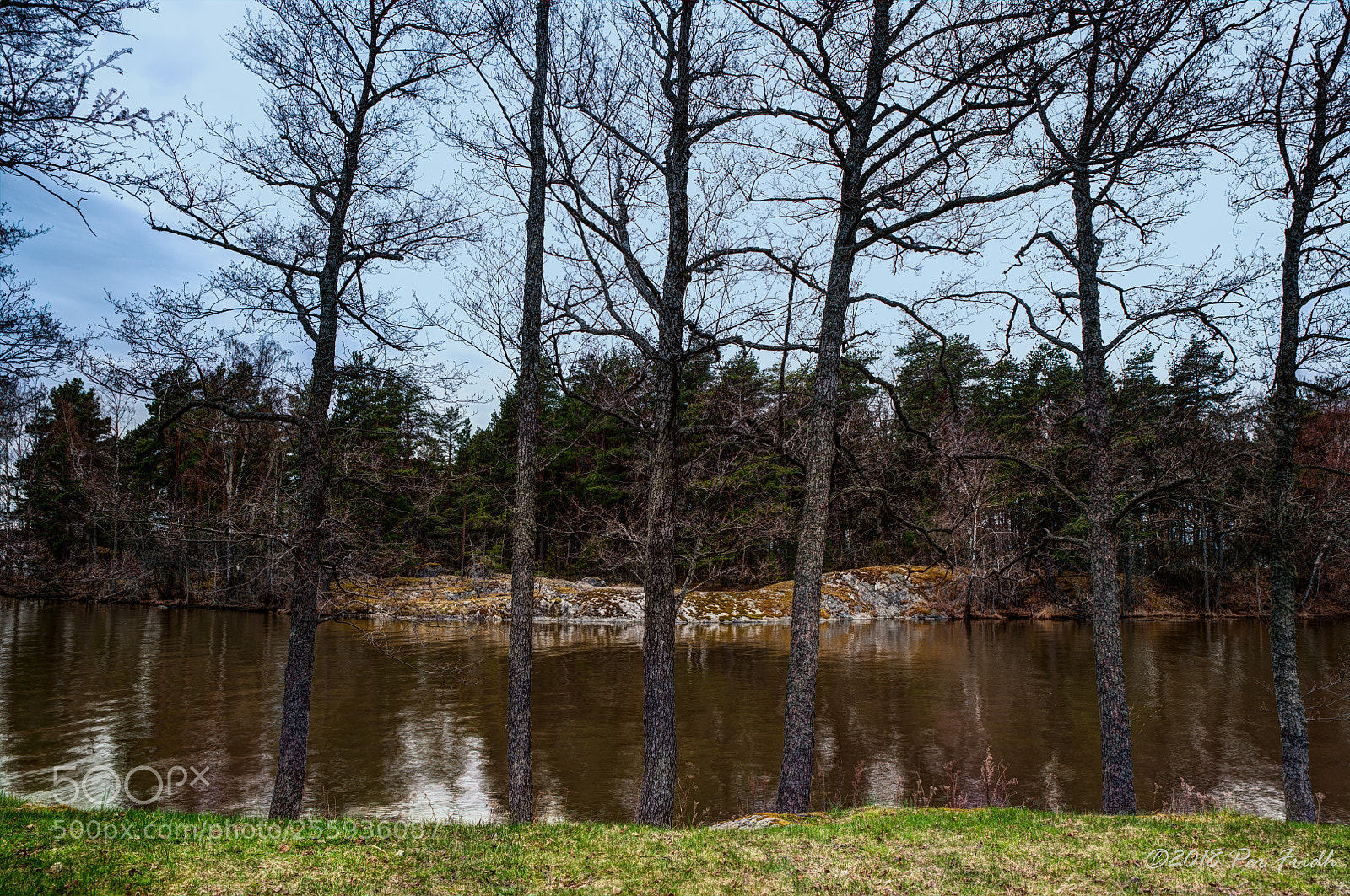 Nikon D850 sample photo. Fence (sort of...) photography