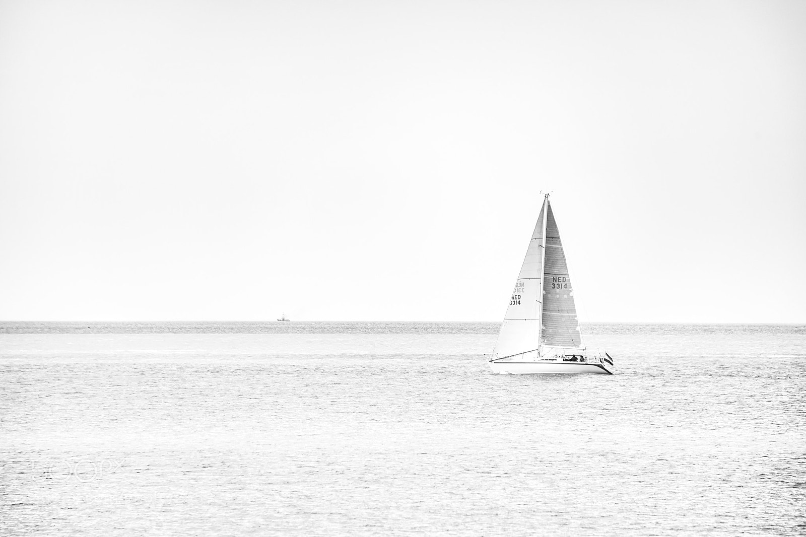 Nikon D850 sample photo. Shall we meet? photography
