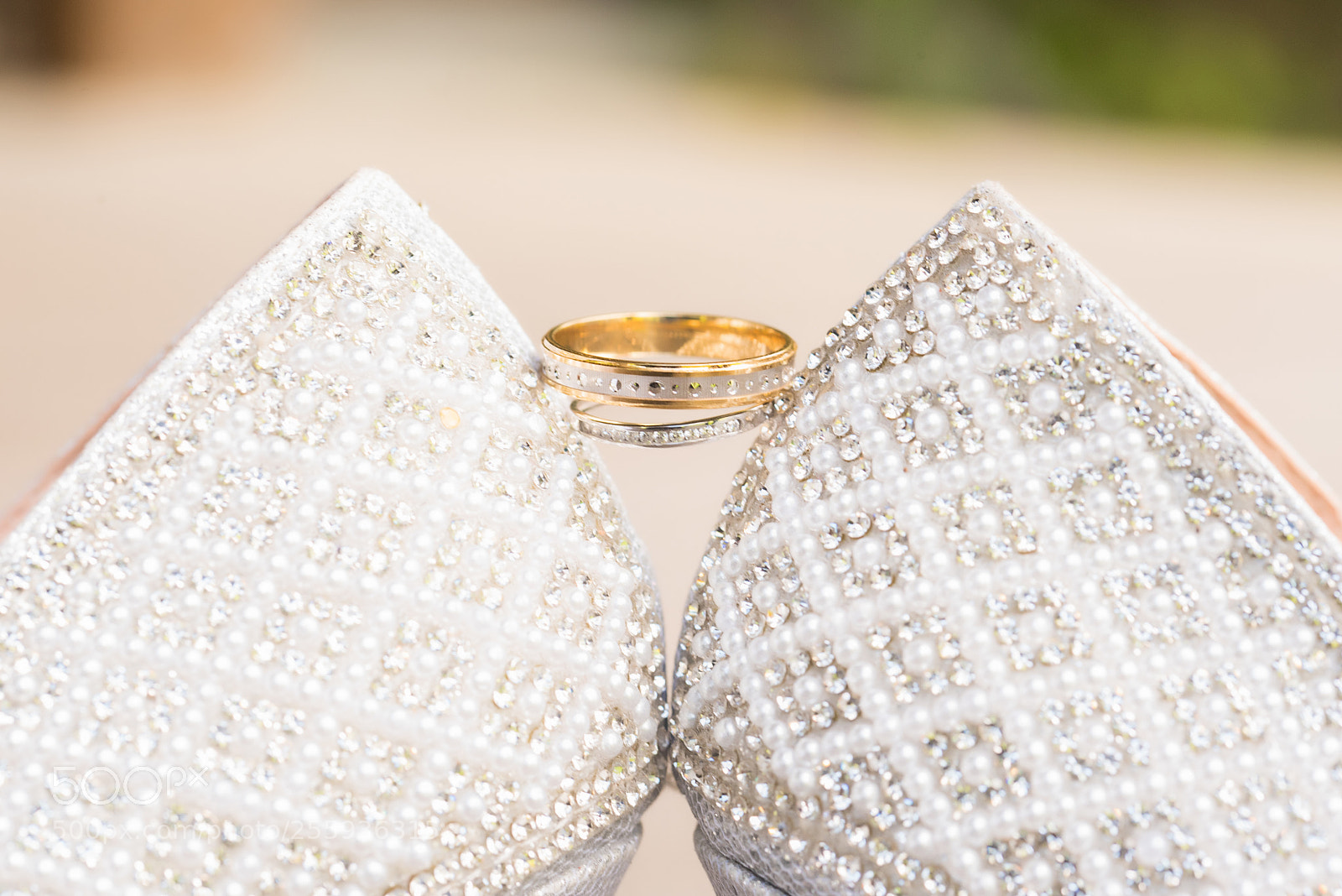 Nikon D750 sample photo. Lors of rings photography