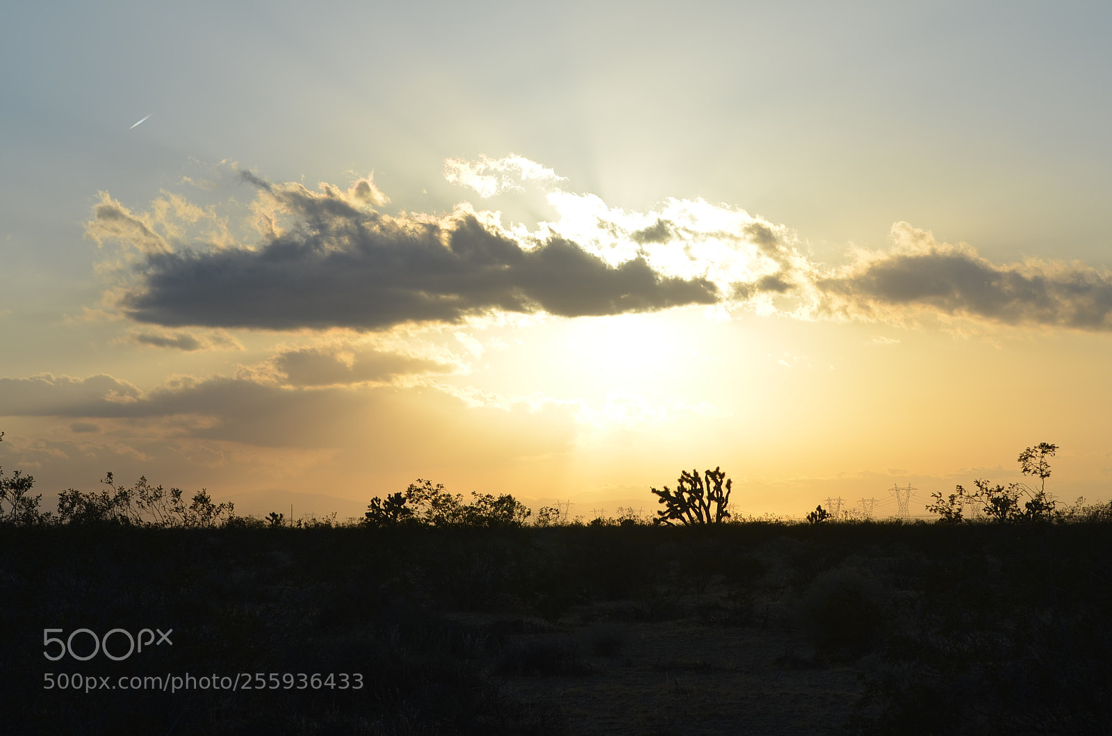 Nikon D5100 sample photo. Windy sunset in the photography