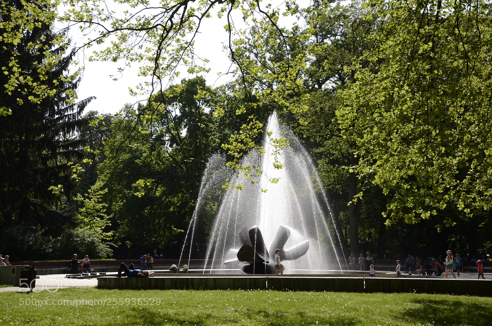 Nikon D7000 sample photo. Fountain in bratislava photography