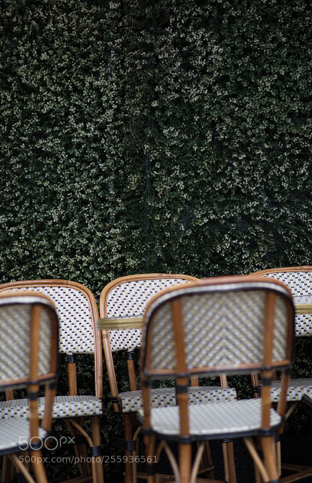 Canon EOS 6D sample photo. Absence 15 photography