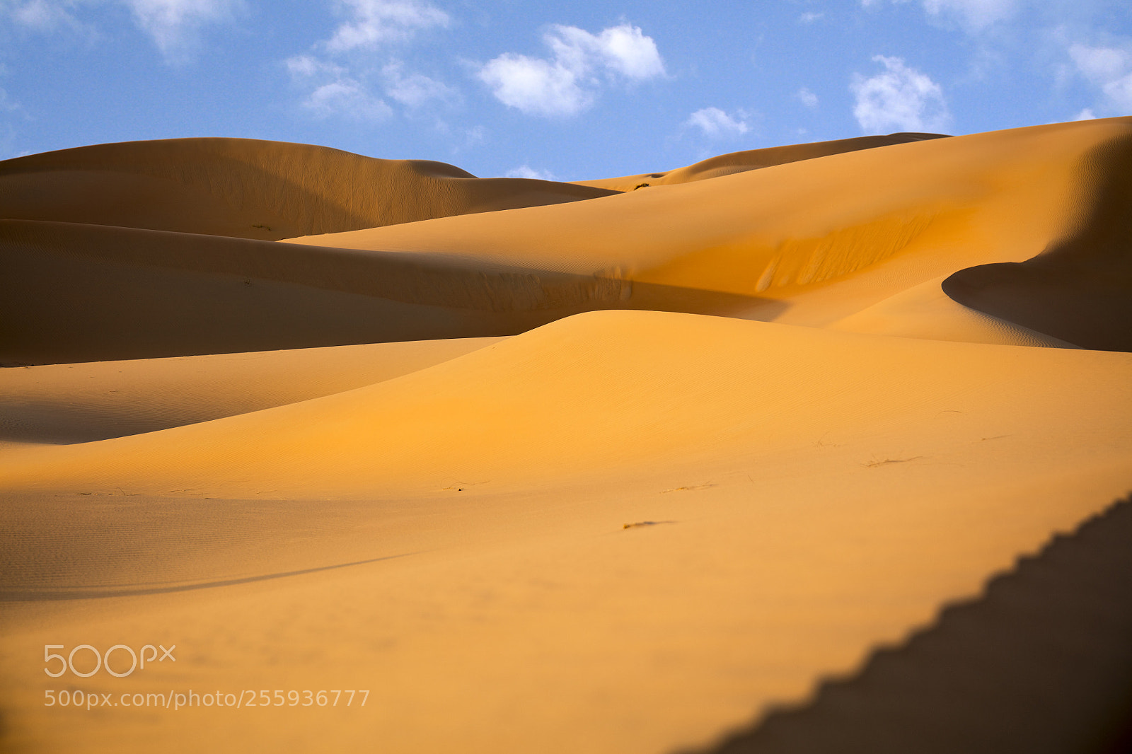 Canon EOS 5DS R sample photo. Golden sands photography