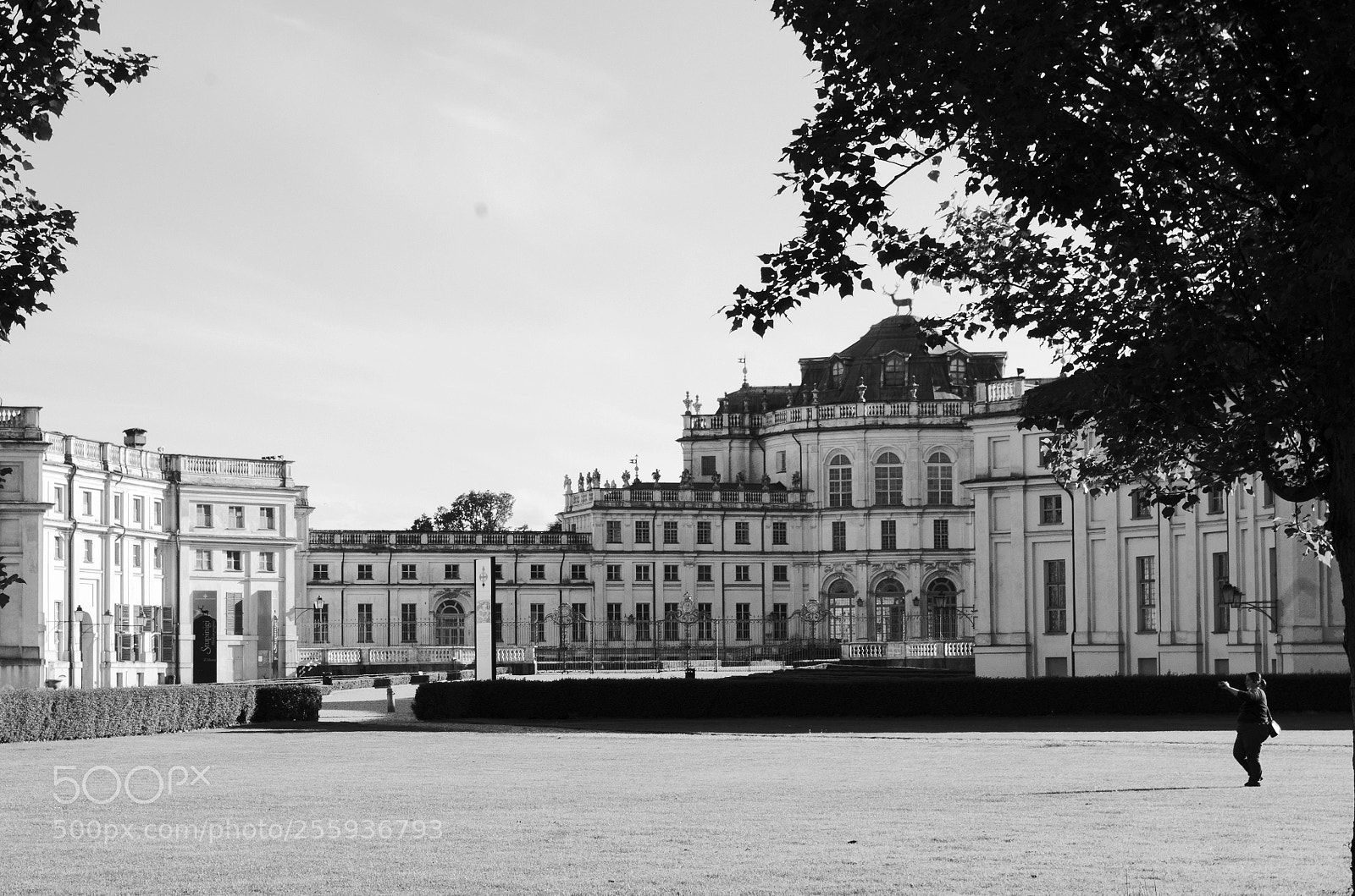 Pentax K-50 sample photo. Palazzina di stupinigi 2 photography