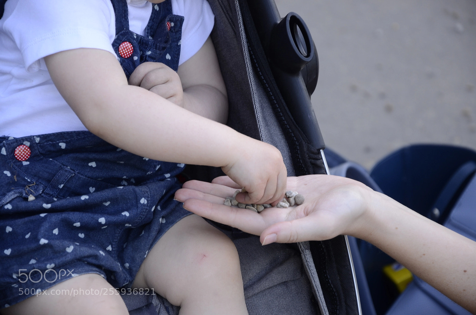Nikon D7000 sample photo. Giving to you photography
