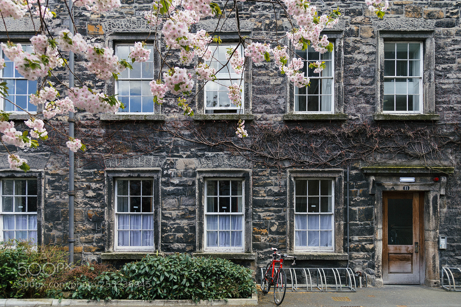 Canon EOS 6D sample photo. Spring photography