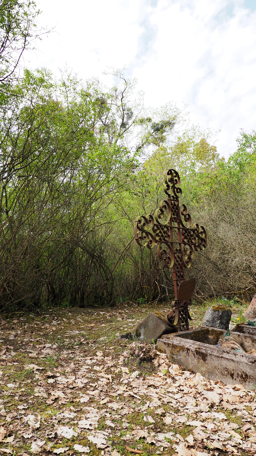 Olympus OM-D E-M10 II sample photo. Abadoned grave photography