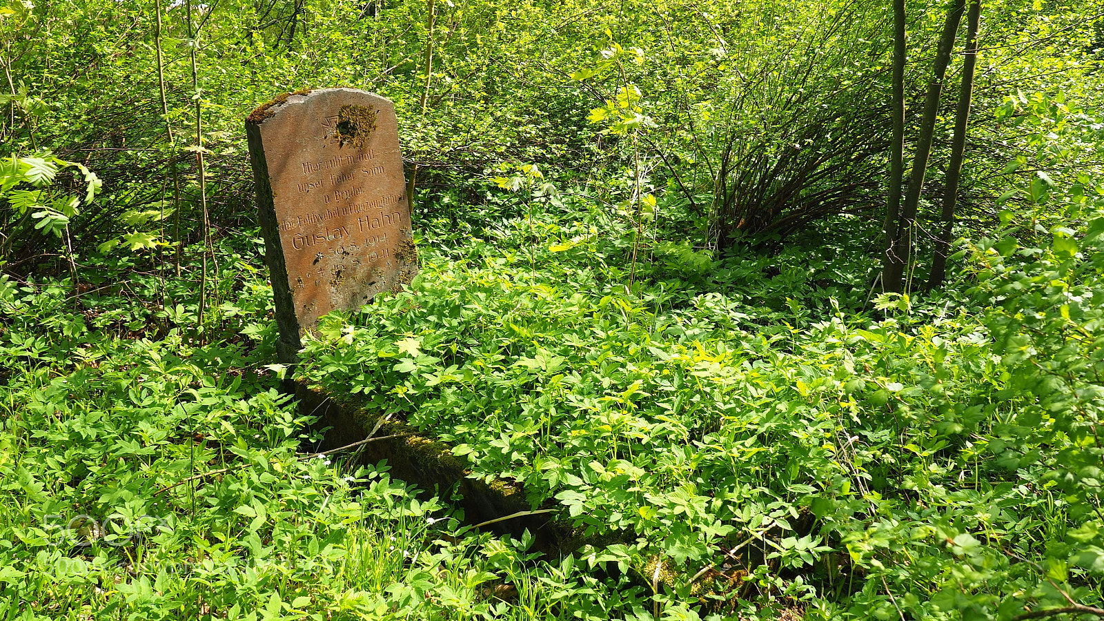 Olympus OM-D E-M10 II sample photo. Abandoned grave photography