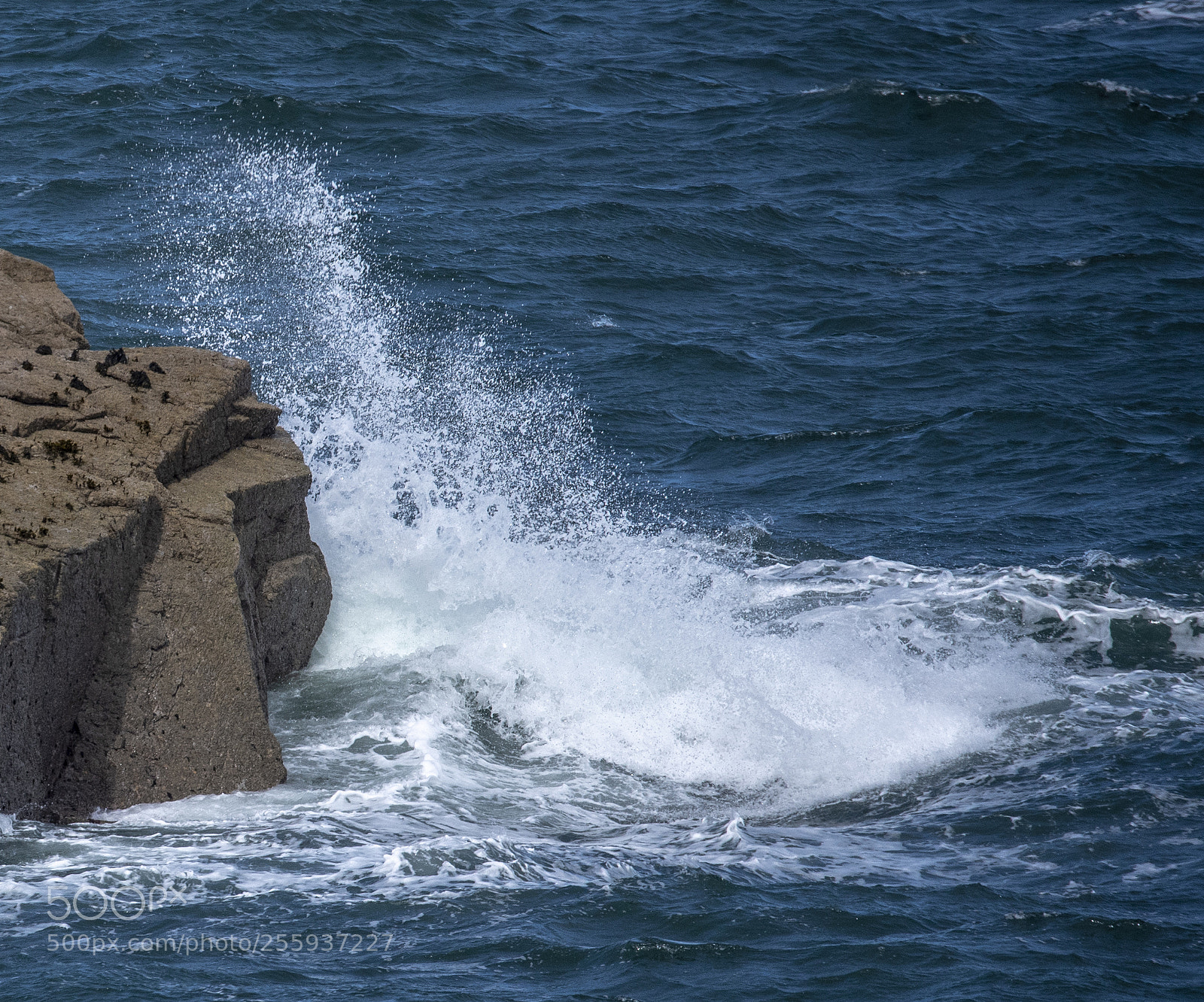 Nikon D750 sample photo. Perros guirrec photography