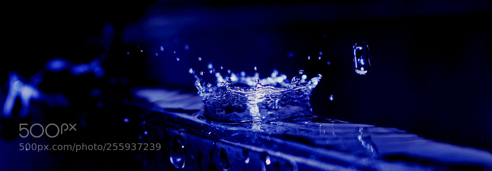 Canon EOS 700D (EOS Rebel T5i / EOS Kiss X7i) sample photo. Beyond the scene photography