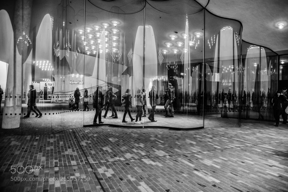Nikon D7100 sample photo. Filarmonica de hamburgo..!! photography