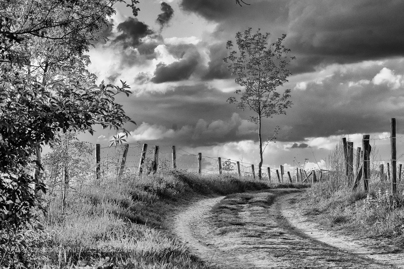 Nikon D7200 sample photo. Dramatic sky photography