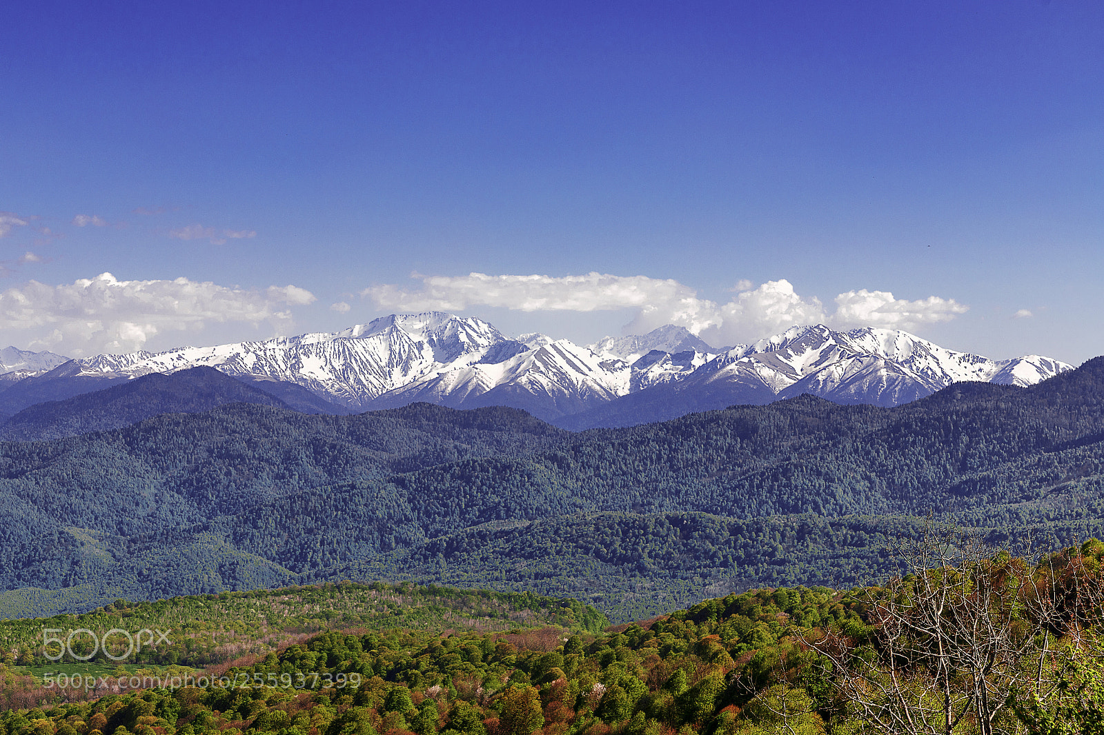 Canon EOS 6D Mark II sample photo. The caucasus mountains photography