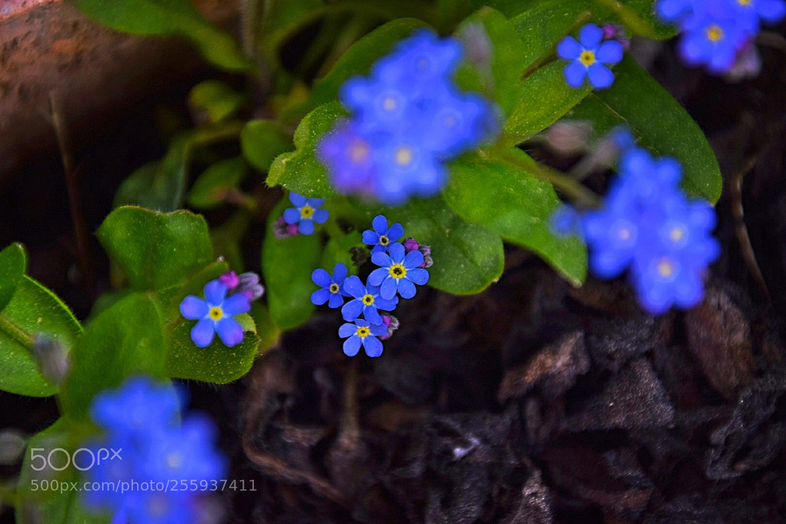 Nikon D5300 sample photo. Von oben! photography