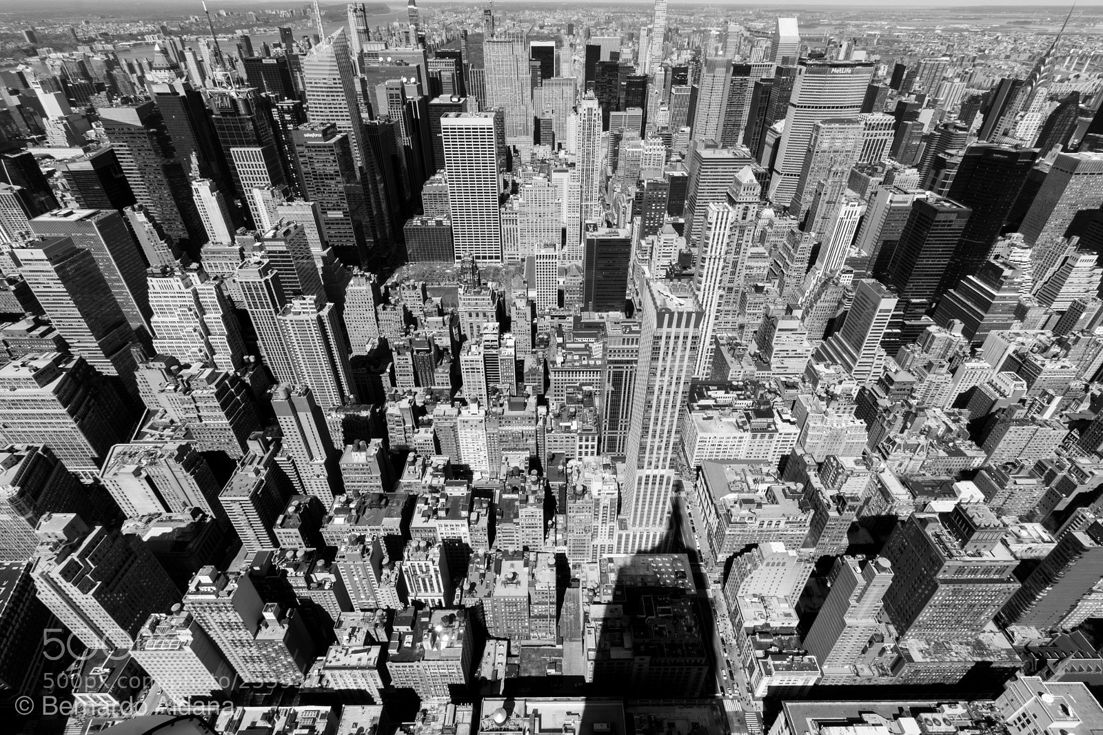 Canon EOS 80D sample photo. Pointing. big apple  photography