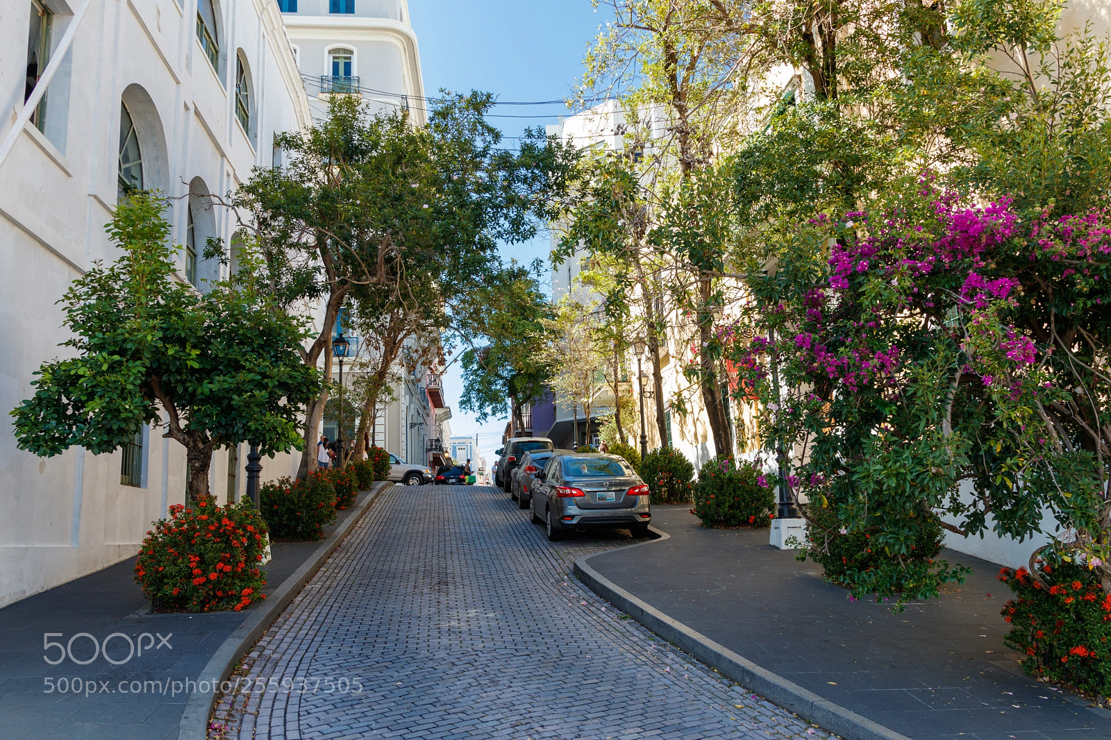 Canon EOS 80D sample photo. Street of old san photography