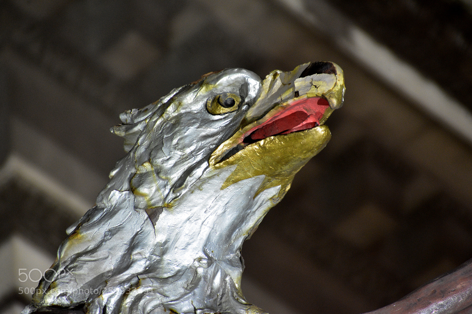 Nikon D3400 sample photo. Eagle head photography