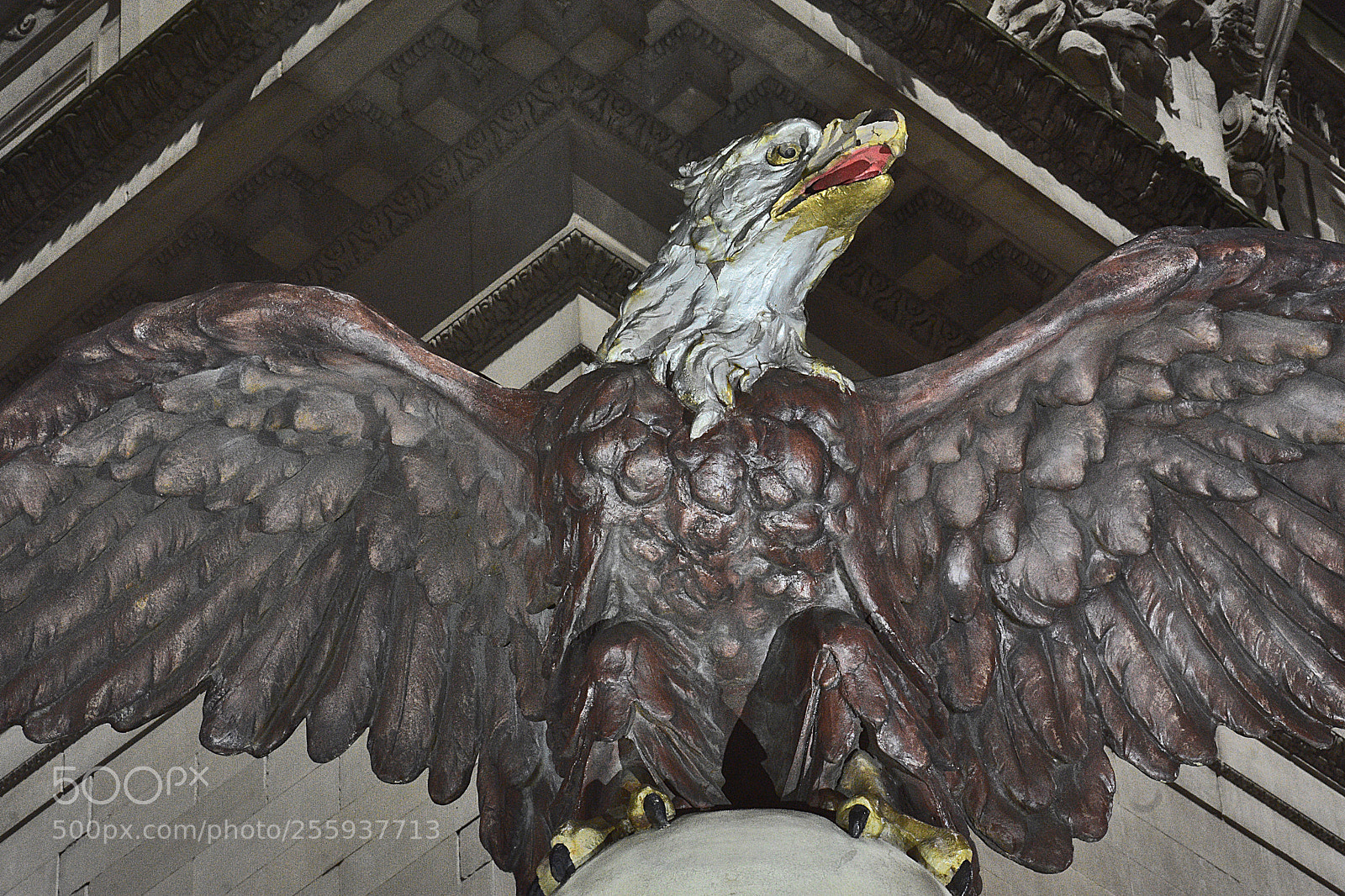 Nikon D3400 sample photo. Eagle photography