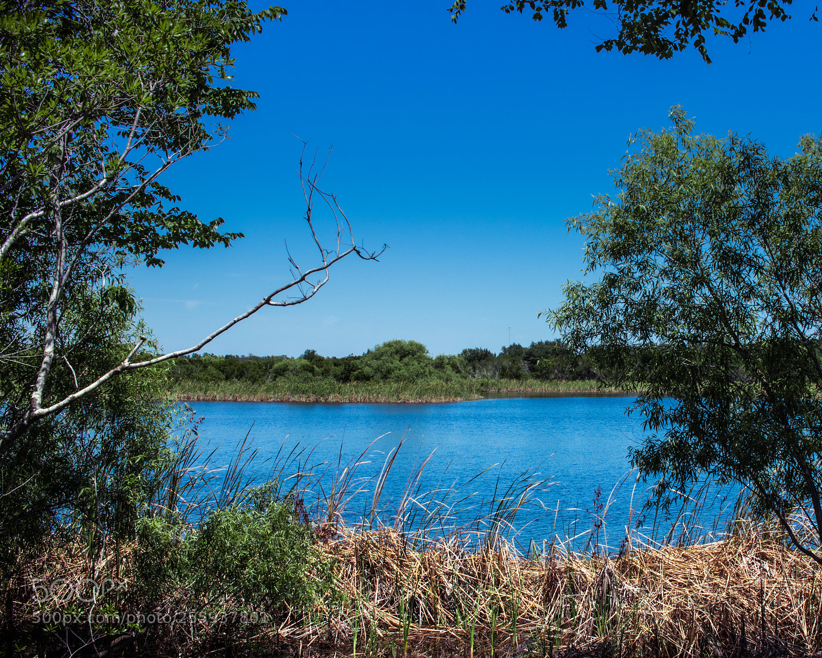 Canon EOS 80D sample photo. Econ river wilderness area photography