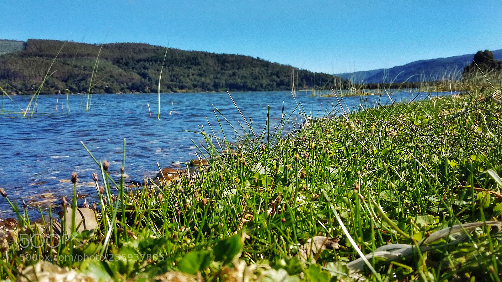 Samsung Galaxy Grand Prime sample photo. In the lake photography