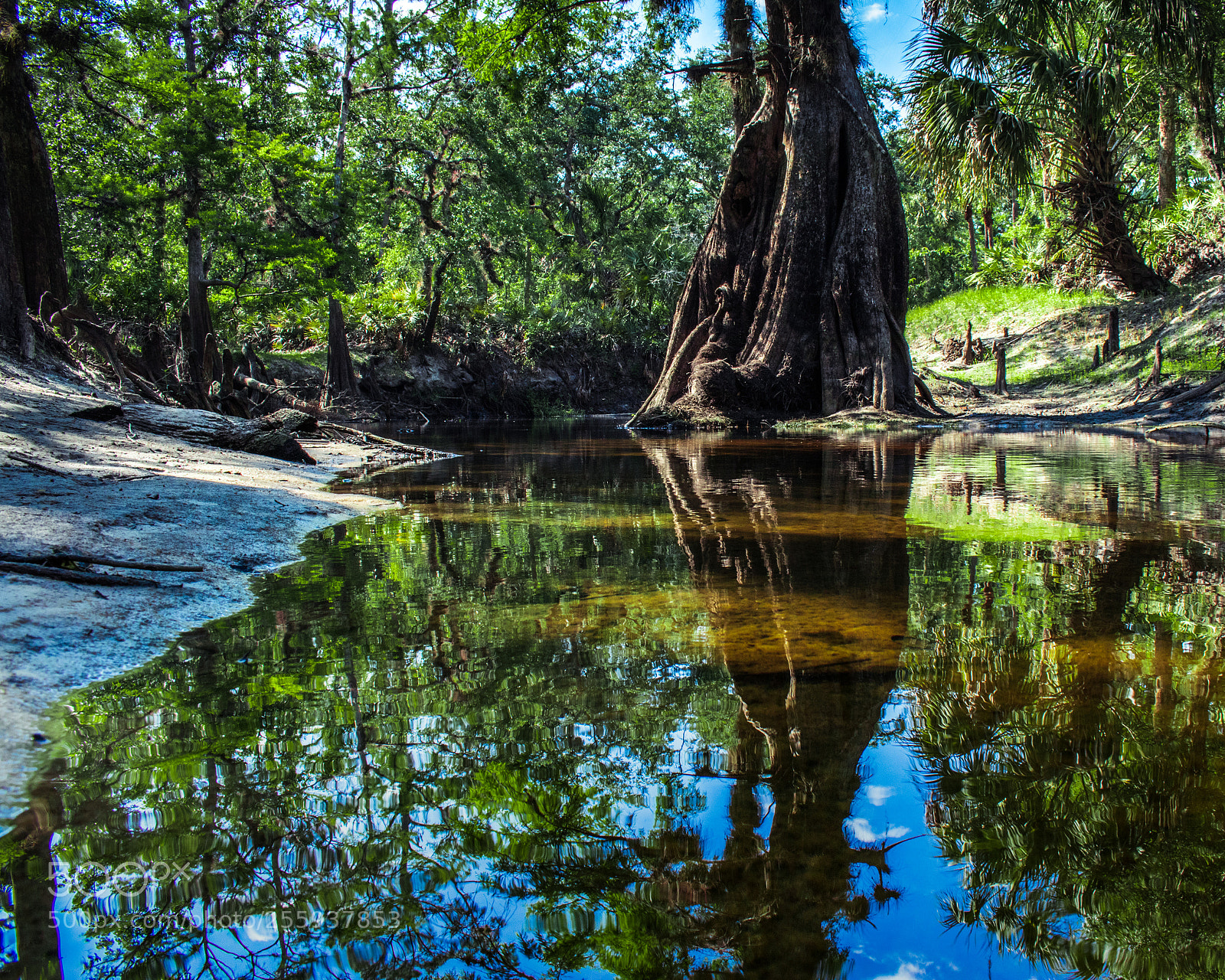 Canon EOS 80D sample photo. Econ river wilderness area photography