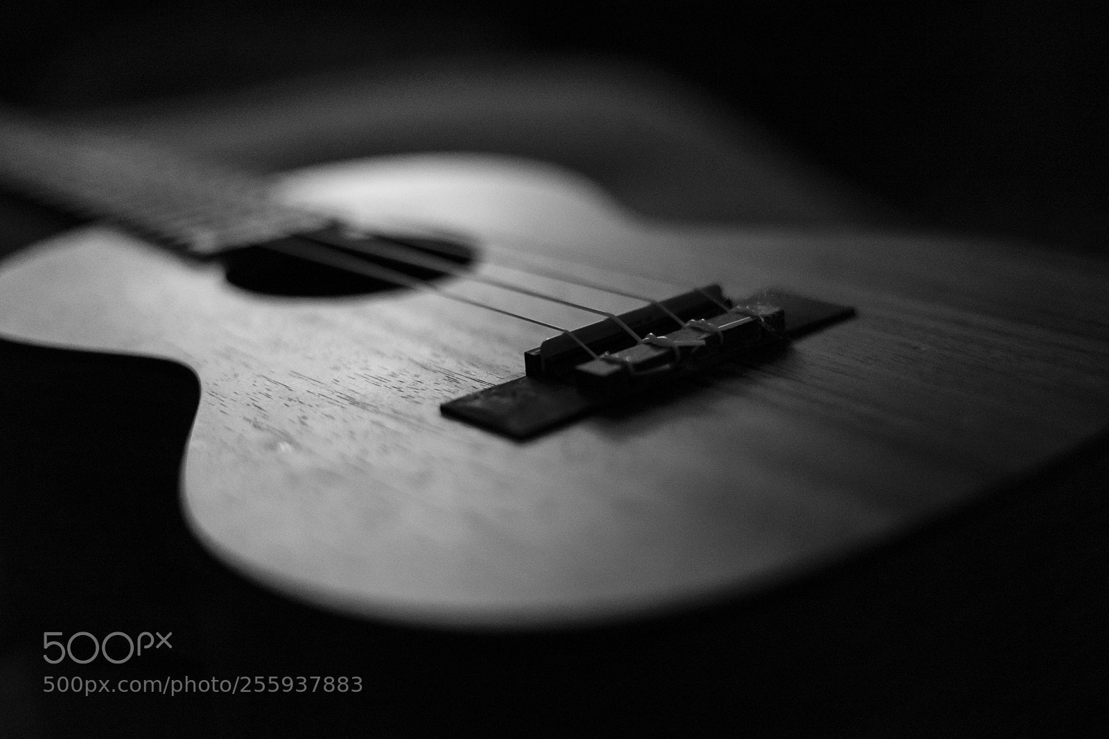 Sony a7 sample photo. _dsc4174-2.jpg photography