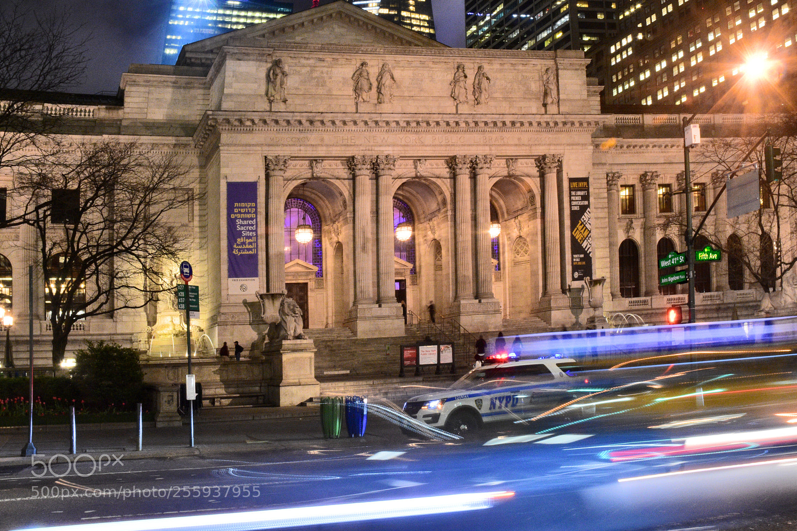 Nikon D3400 sample photo. Nd st library photography