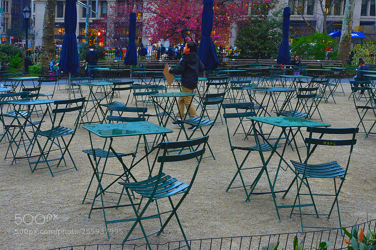 Nikon D3400 sample photo. A walk thru the photography