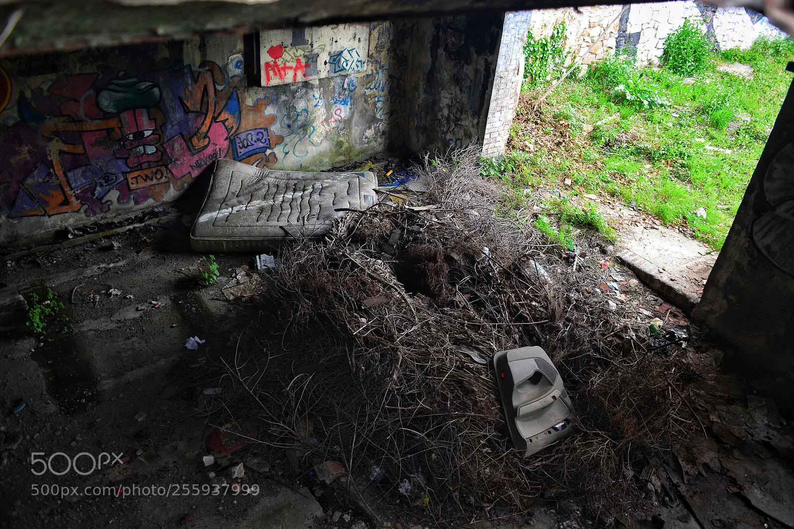Nikon D5200 sample photo. Untitled photography