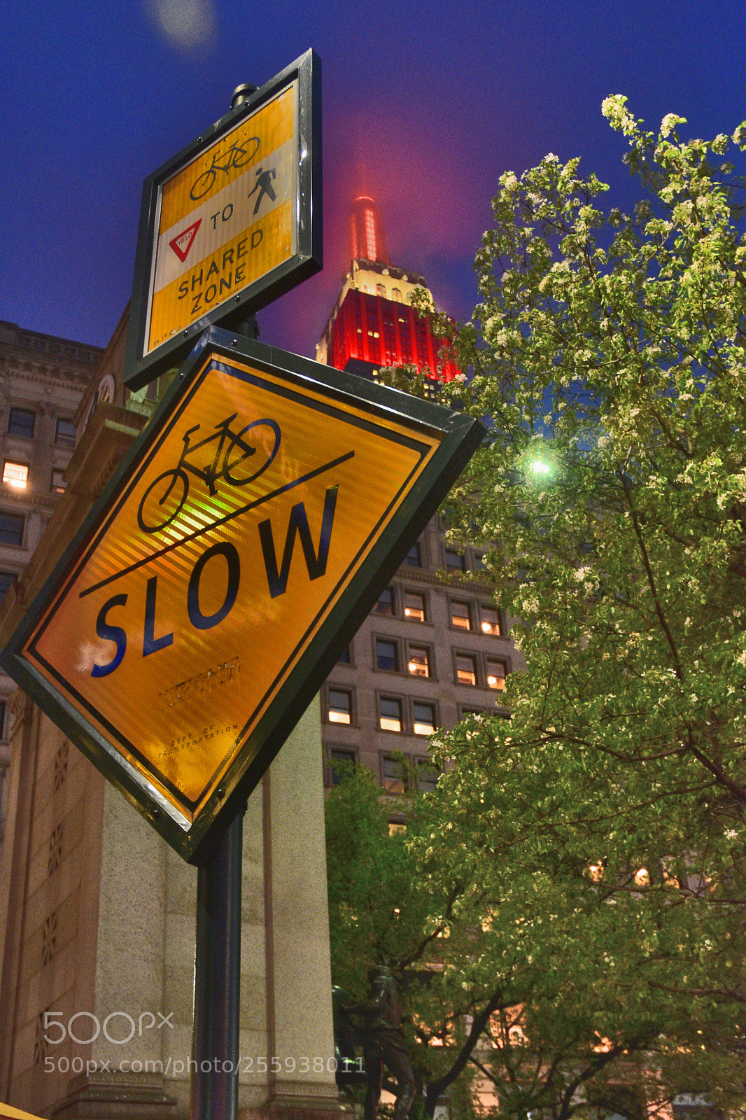 Nikon D3400 sample photo. Bike lane photography