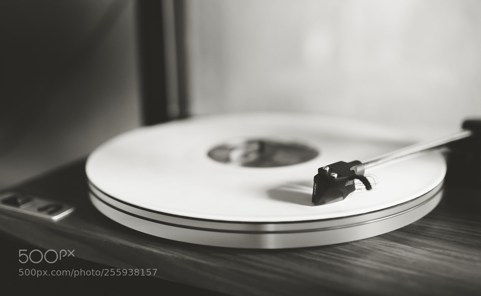 Nikon D750 sample photo. Grooves photography