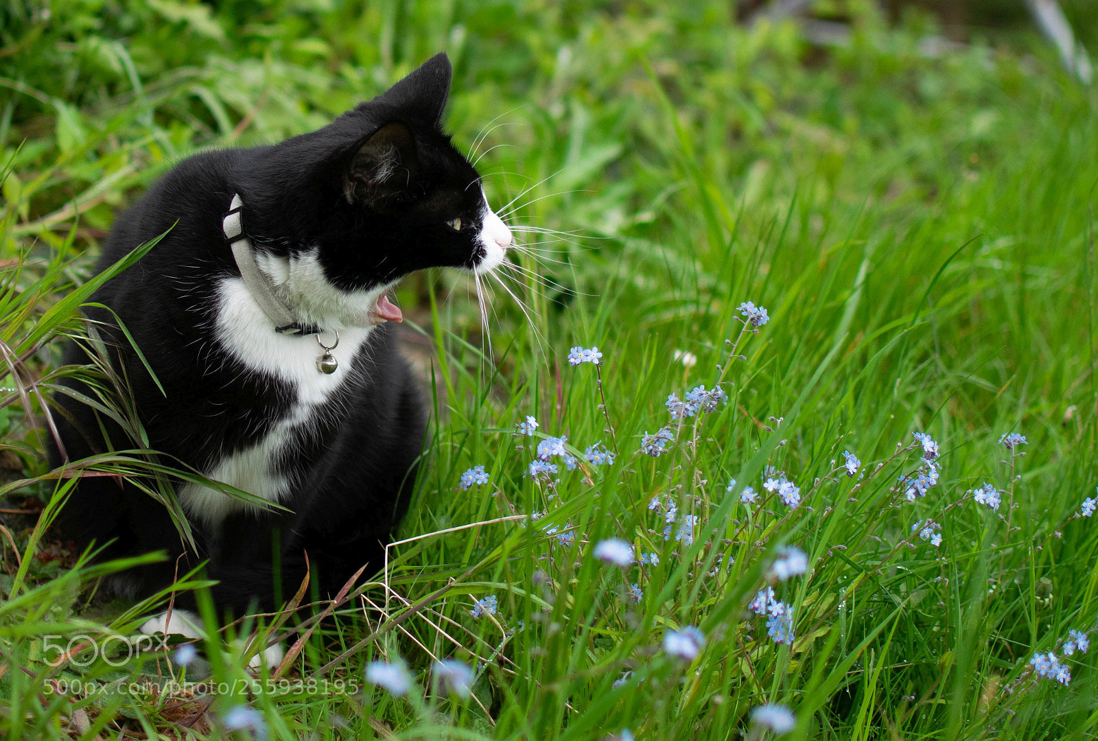 Nikon D3300 sample photo. Yawn.... :) photography