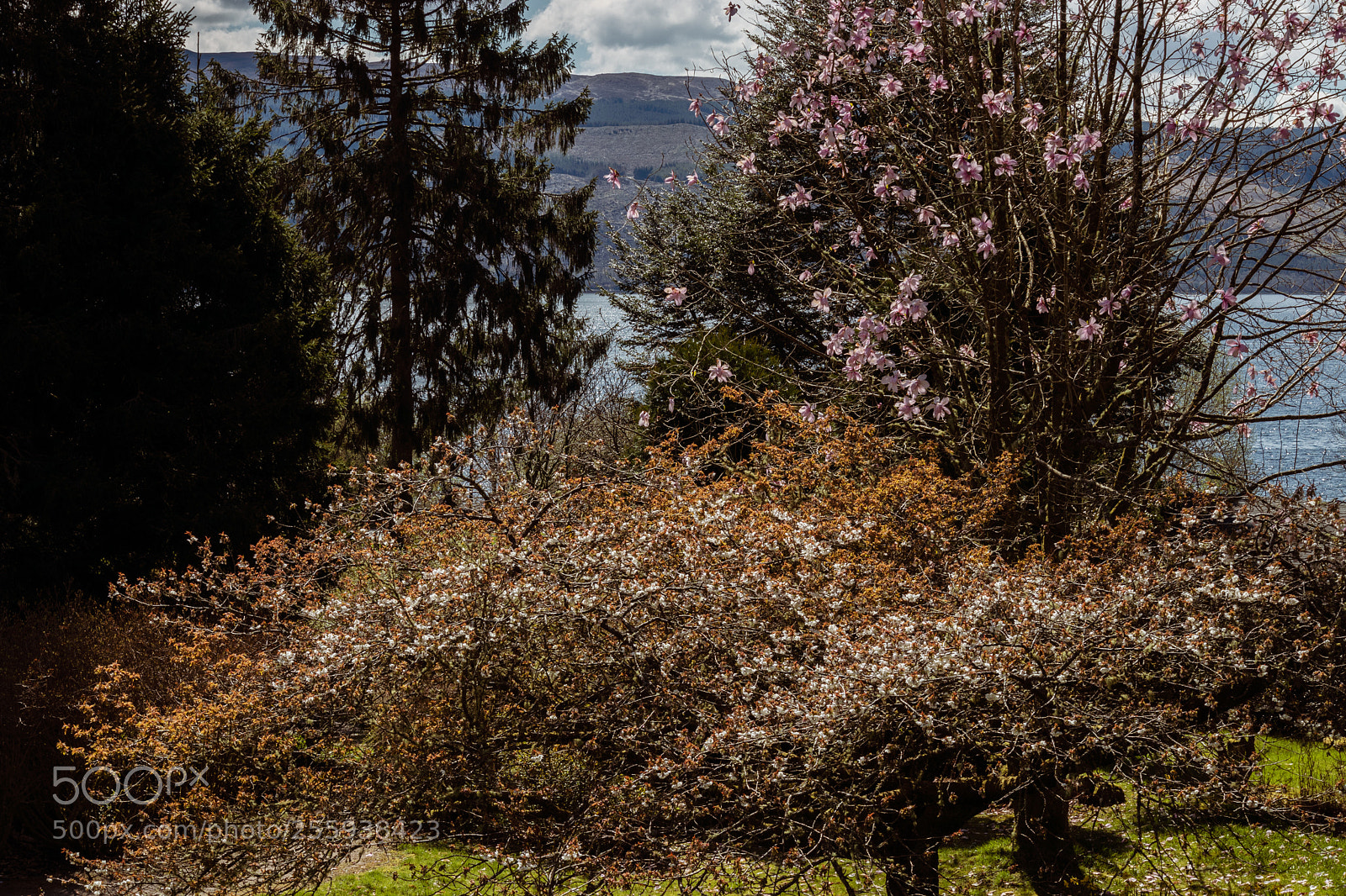 Canon EOS M5 sample photo. Untitled photography