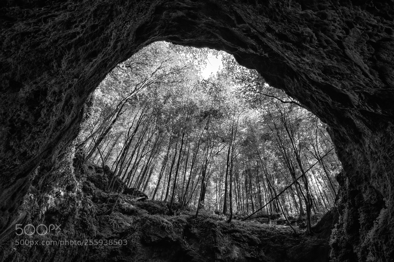 Pentax K-S2 sample photo. The hole photography