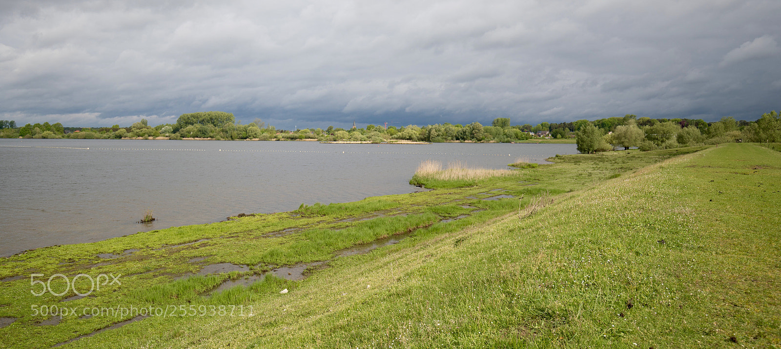 Canon EOS-1D X Mark II sample photo. Schulensmeer photography