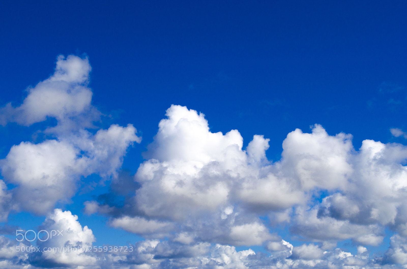 Nikon D5100 sample photo. Sea of clouds photography