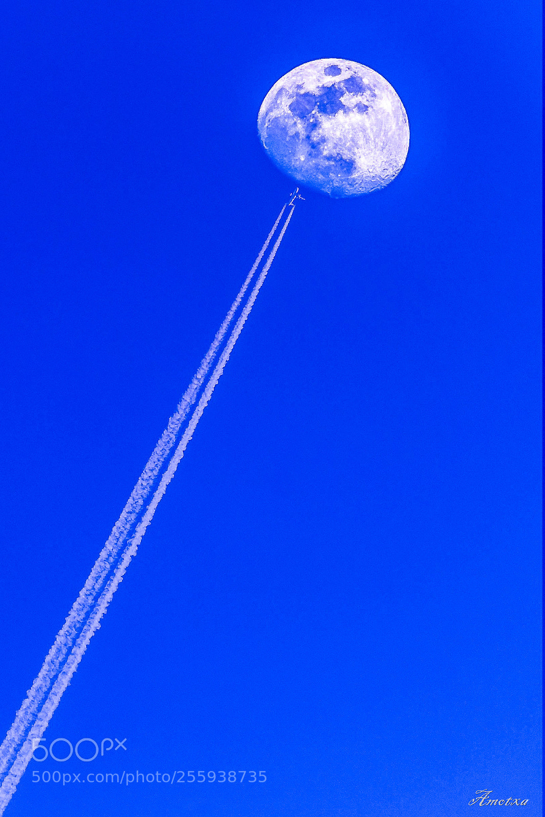 Nikon D750 sample photo. Avionnube photography