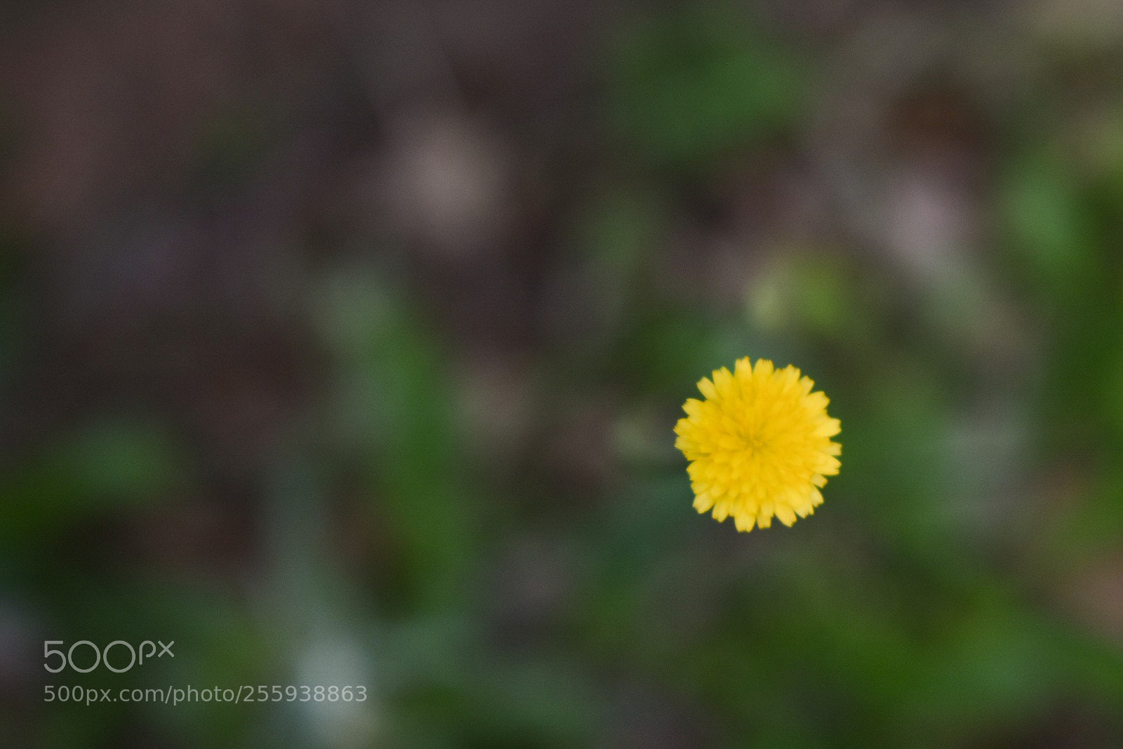 Nikon D3400 sample photo. Beauty photography