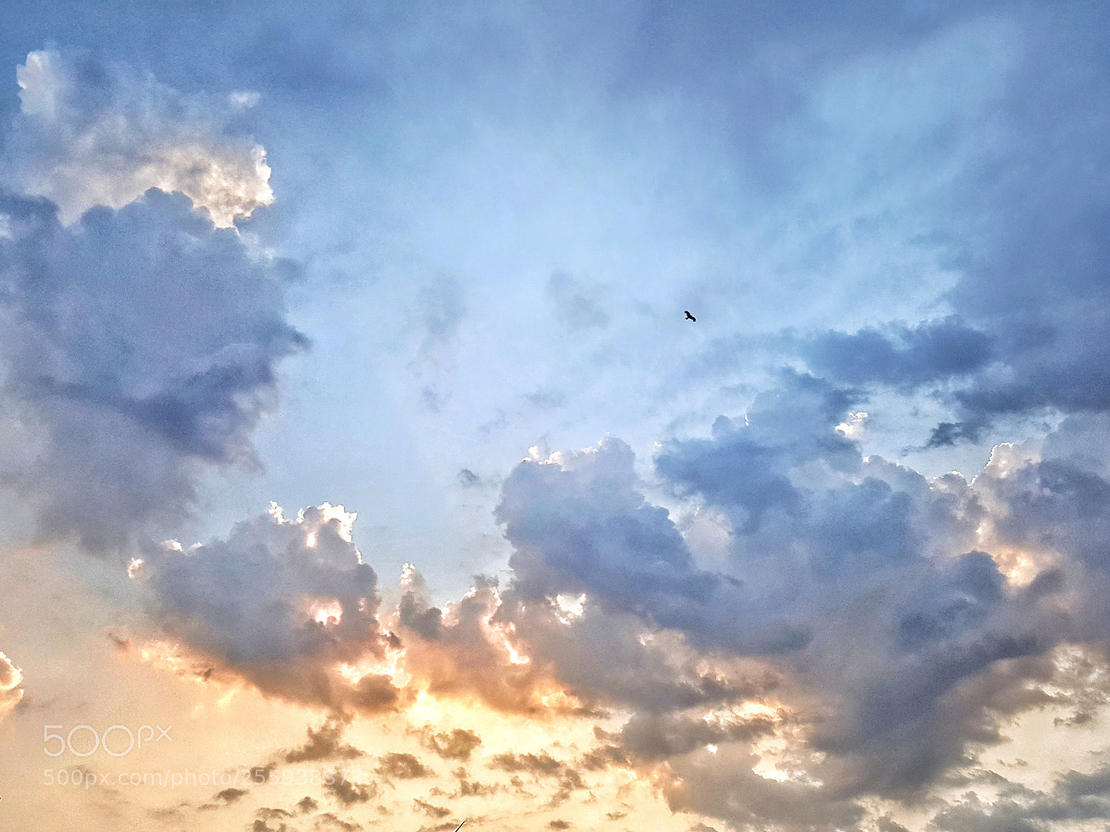 Samsung Galaxy Note5 sample photo. Untitled photography