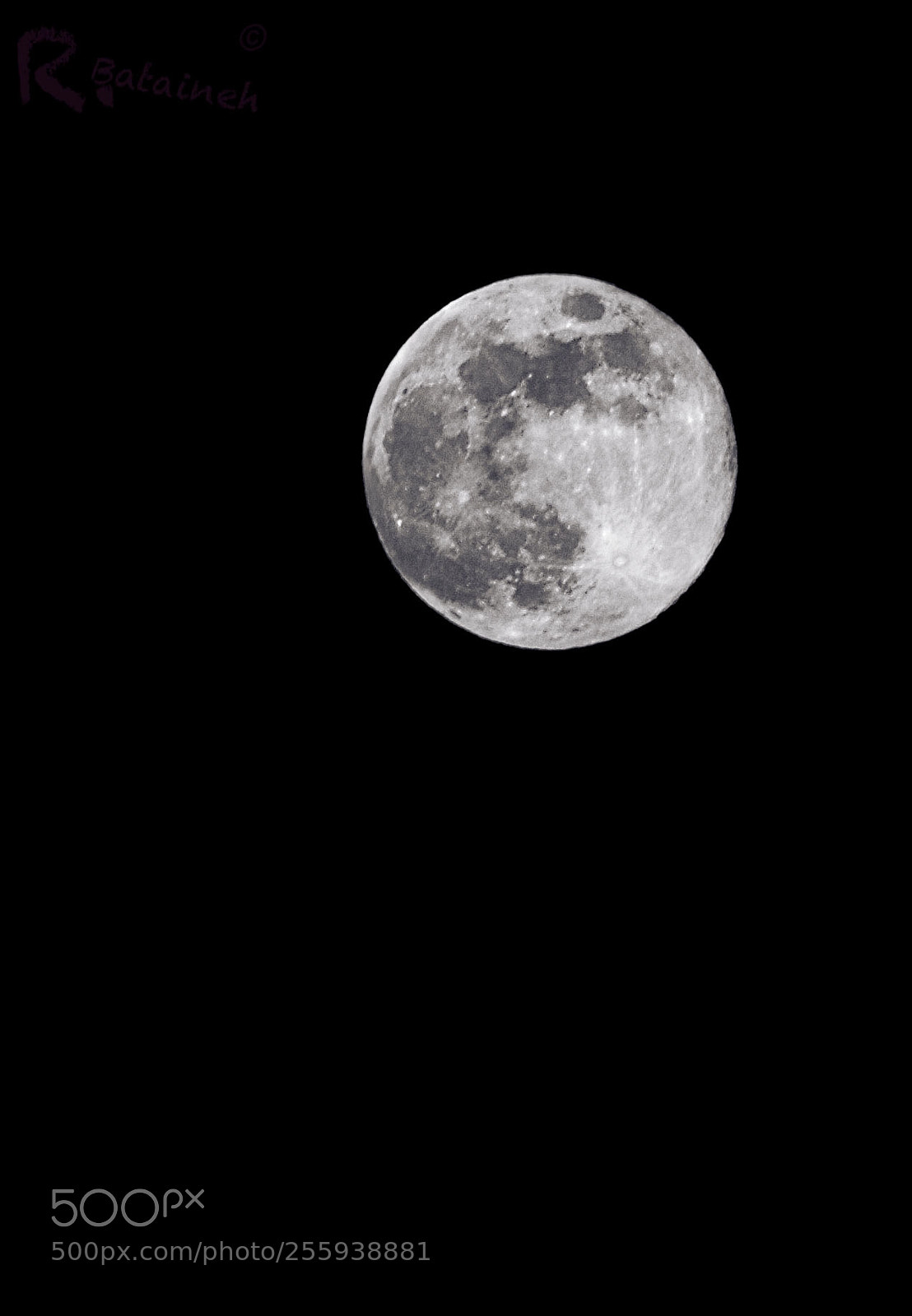 Nikon D3100 sample photo. High contrast photography