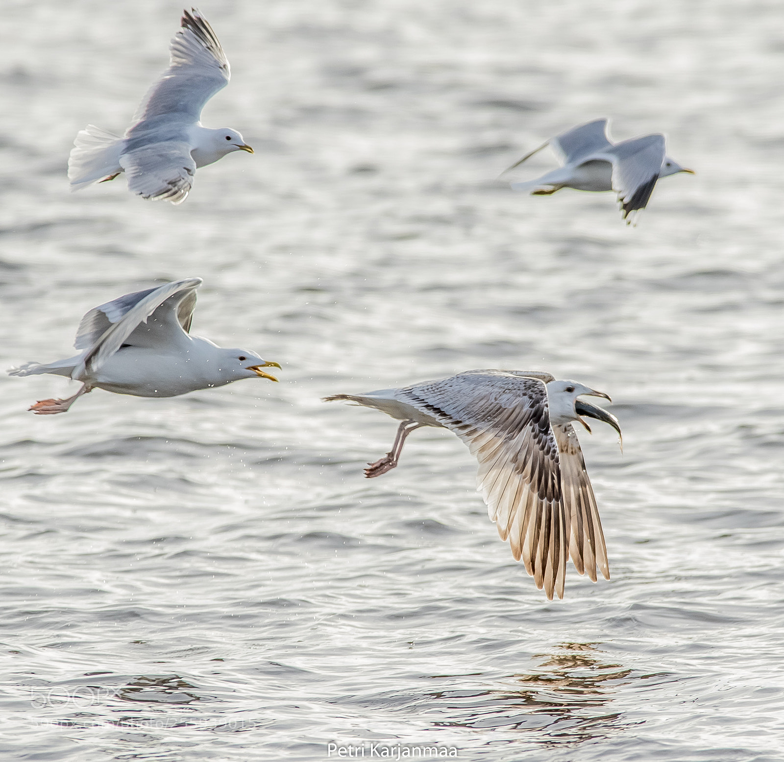 Canon EOS 7D Mark II sample photo. Fishing 2 photography