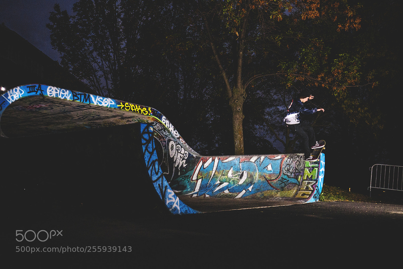 Canon EOS 6D sample photo. Big o montreal photography